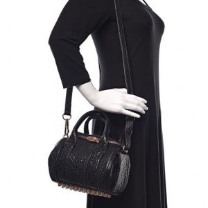 Alexander Wang Authentic Woman’s Purse